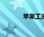 蘋(píng)果工資待遇（蘋(píng)果工具條）