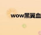 wow黑翼血環(huán)入口（wow黑市在哪）