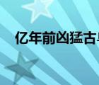 億年前兇猛古鳥(niǎo)類具體啥情況在哪發(fā)現(xiàn)的