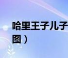 哈里王子兒子萌照 哈里王子的兒子什么樣（圖）