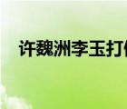 許魏洲李玉打假怎樣的打什么假情況如何