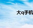 大q手機(jī)官網(wǎng)（大q手機(jī)官網(wǎng)）