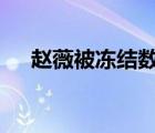 趙薇被凍結(jié)數(shù)百萬股權(quán) 具體是什么原因