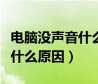 電腦沒聲音什么都正常就是沒聲（電腦沒聲音什么原因）