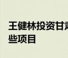 王健林投資甘肅450億是怎樣的具體投資了哪些項目