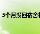 5個月沒回宿舍柜子孵出4只小鳥 具體怎樣的
