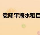 袁隆平海水稻目標(biāo) 目標(biāo)是什么什么是海水稻