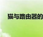 貓與路由器的圖片（貓與路由器的區(qū)別）