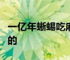 一億年蜥蜴吃麻小啥情況蜥蜴吃麻小具體怎樣的
