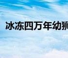 冰凍四萬年幼獅怎樣的這只幼獅年齡多大了