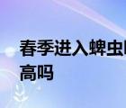 春季進入蜱蟲叮咬高發(fā)期 什么是蜱蟲危險性高嗎