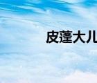 皮蓬大兒子去世 到底是啥情況