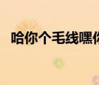 哈你個(gè)毛線嘿你個(gè)毛線的弟弟（哈你直播）