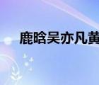 鹿晗吳亦凡黃子韜坐一起 這是什么畫面