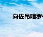 向佐吊唁羅伯啥情況網友怒贊：暖心