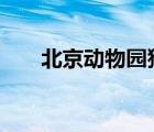 北京動(dòng)物園猴子抱團(tuán)取暖 這是啥情況