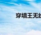 穿墻王無線路由器評測（穿墻王）