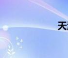 天津天氣（t311）