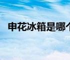 申花冰箱是哪個國家的（申花冰箱怎么樣）