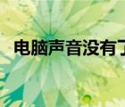 電腦聲音沒有了怎么辦（電腦聲音沒有了）