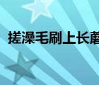 搓澡毛刷上長蘑菇：網(wǎng)友搓澡毛刷上長蘑菇