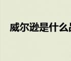 威爾遜是什么品牌（weds威爾品牌介紹）