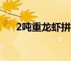 2噸重龍蝦拼盤 這個龍蝦拼盤里有什么