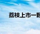 荔枝上市一顆2元 價格驚人為啥這么貴