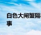 白色大閘蟹隔著殼能看到蟹黃 具體怎么一回事