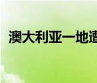 澳大利亞一地遭8萬狐蝠入侵 場面十分駭人