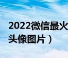 2022微信最火頭像圖片楊姓（2022微信最火頭像圖片）