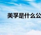 美孚是什么公司（Mobil美孚品牌介紹）
