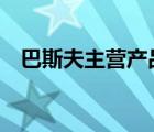巴斯夫主營(yíng)產(chǎn)品（BASF巴斯夫品牌介紹）