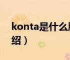 konta是什么牌子（KonicaMinolta品牌介紹）