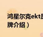 鴻星爾克ekt是什么牌子（鴻星爾克ERKE品牌介紹）