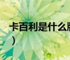 卡百利是什么牌子（Bacardi百加得品牌介紹）