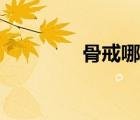 骨戒哪里爆率最高（骨戒）
