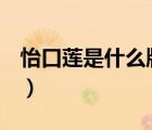 怡口蓮是什么牌子的（怡蓮ealotus品牌介紹）