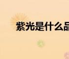紫光是什么品牌（紫光Unis品牌介紹）
