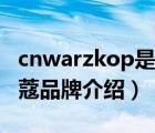cnwarzkop是施華蔻嗎（Schwarzkopf施華蔻品牌介紹）