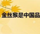 金絲猴是中國品牌嗎（金絲猴食品品牌介紹）