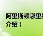 阿里斯頓哪里品牌（ARISTON阿里斯頓品牌介紹）