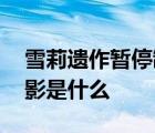 雪莉遺作暫停制作 為何暫停制作最后一部電影是什么