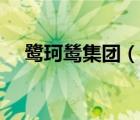 鷺珂鷥集團（鷺珂鷥LOOKSE品牌介紹）