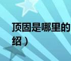 頂固是哪里的品牌（頂固Topstrong品牌介紹）