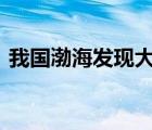 我國(guó)渤海發(fā)現(xiàn)大型油田 具體能開采多少石油