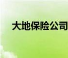 大地保險公司口碑咋樣（大地保險介紹）