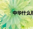 中華什么牌子（中華牌品牌介紹）