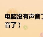 電腦沒有聲音了怎么辦教你一招（電腦沒有聲音了）