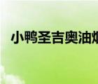 小鴨圣吉奧油煙機(jī)怎樣拆解（小鴨圣吉奧）
